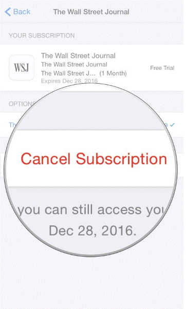How To Cancel An App Subscription On IPhone 