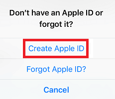 Troubleshooting: Error Connecting Apple ID
