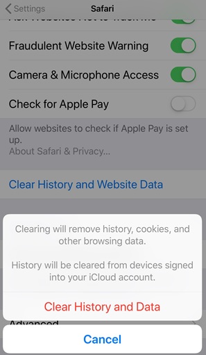 clear history and data_Safari