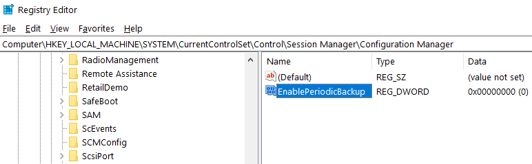 Set Key Name As EnablePeriodicBackup