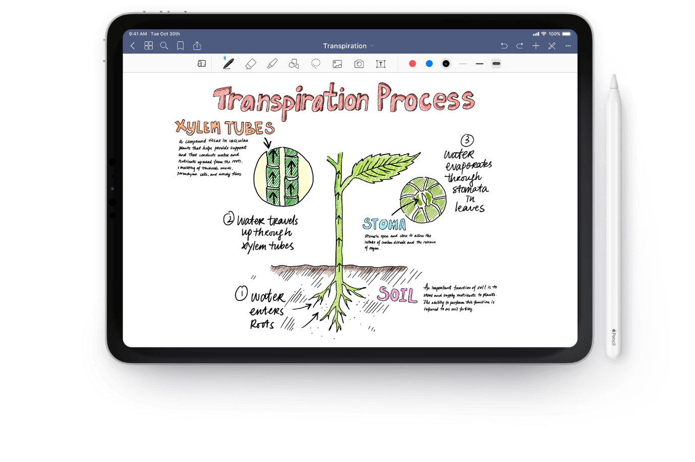 good note taking apps for ipad with apple pencil