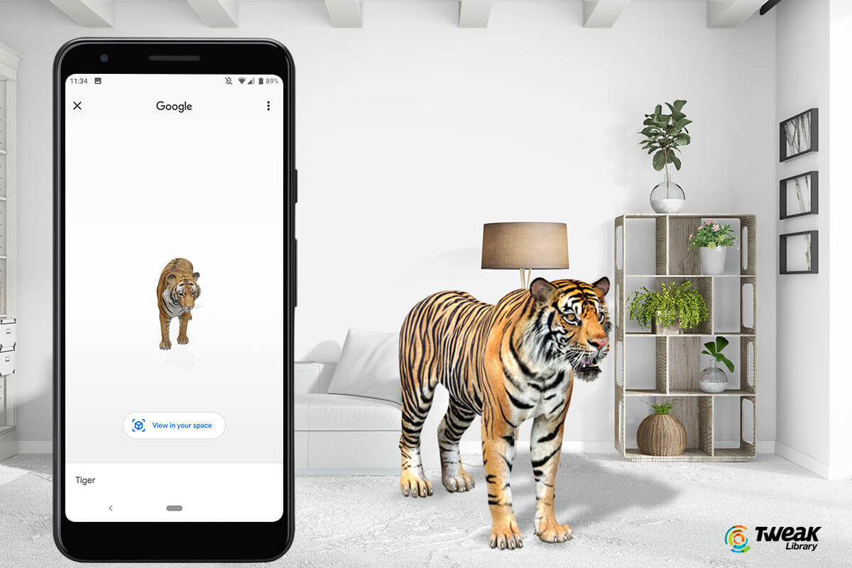 3D Animals Google Tiger View In 3D : Just follow above steps on google ...