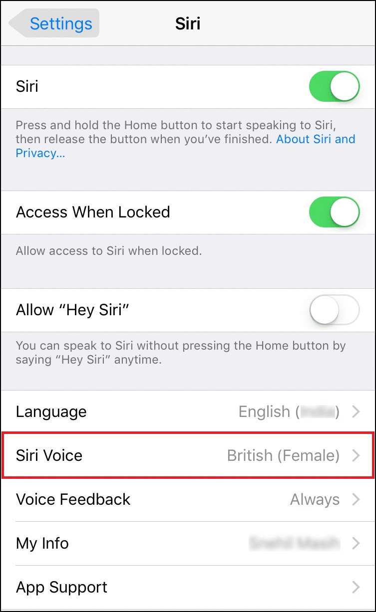 Change Siri’s Voice And Accent